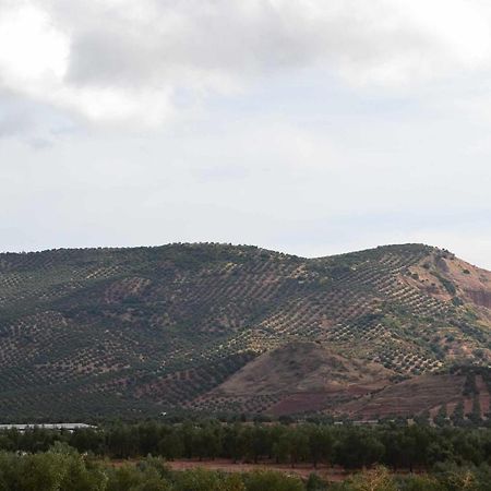 Finca El Vizconde Naturaleza Con Tus Hijos Arquillos المظهر الخارجي الصورة