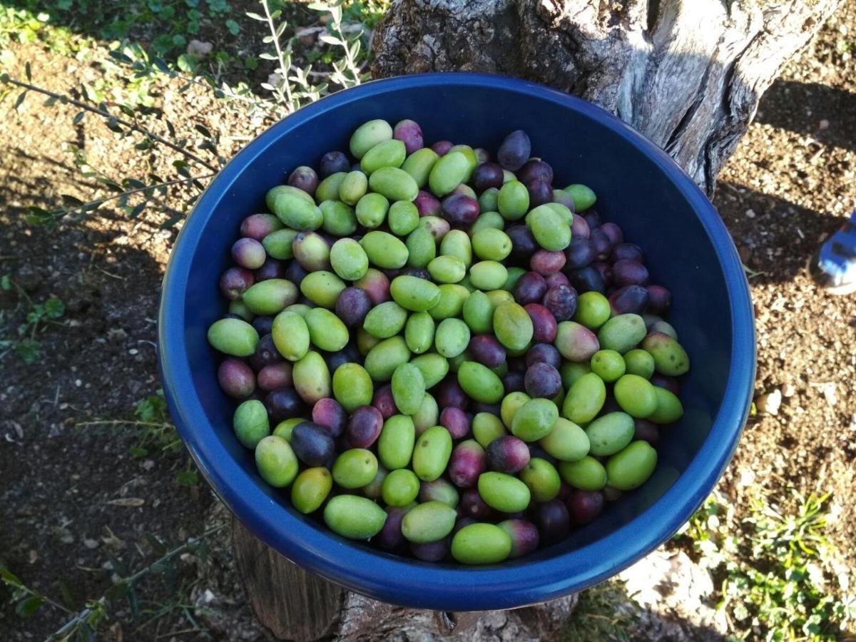 Finca El Vizconde Naturaleza Con Tus Hijos Arquillos المظهر الخارجي الصورة
