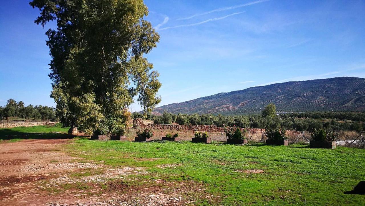Finca El Vizconde Naturaleza Con Tus Hijos Arquillos المظهر الخارجي الصورة