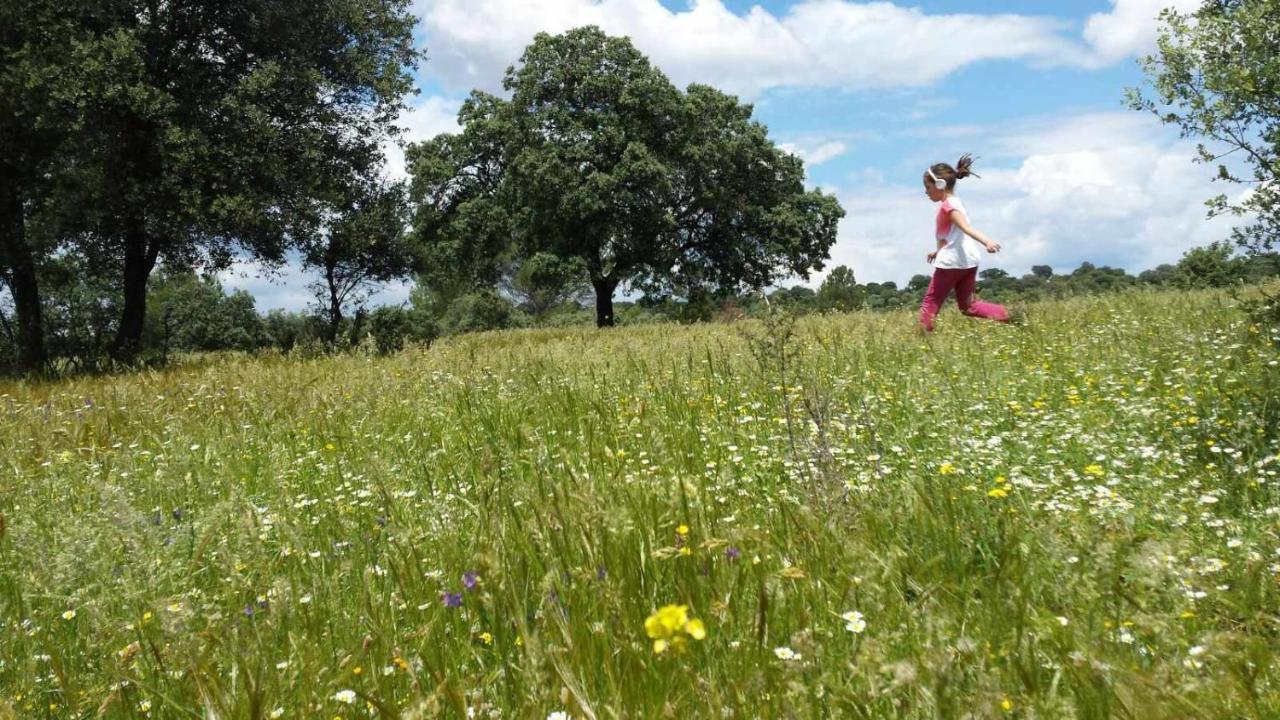 Finca El Vizconde Naturaleza Con Tus Hijos Arquillos المظهر الخارجي الصورة