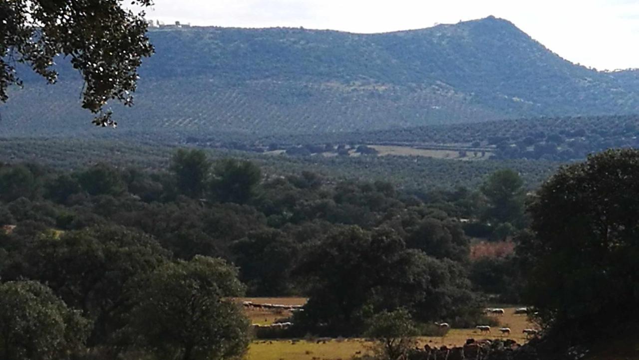 Finca El Vizconde Naturaleza Con Tus Hijos Arquillos المظهر الخارجي الصورة