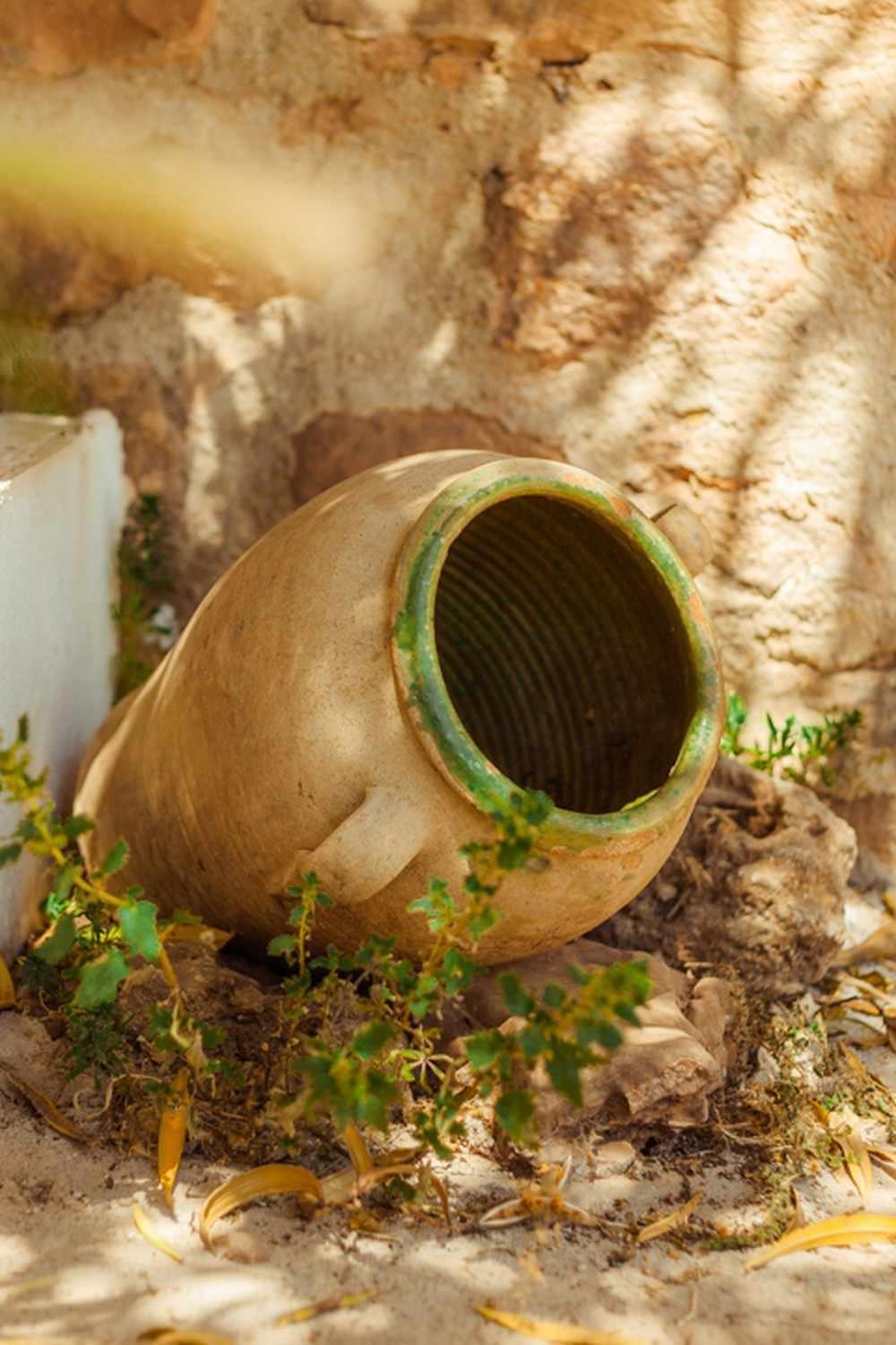 Finca El Vizconde Naturaleza Con Tus Hijos Arquillos المظهر الخارجي الصورة